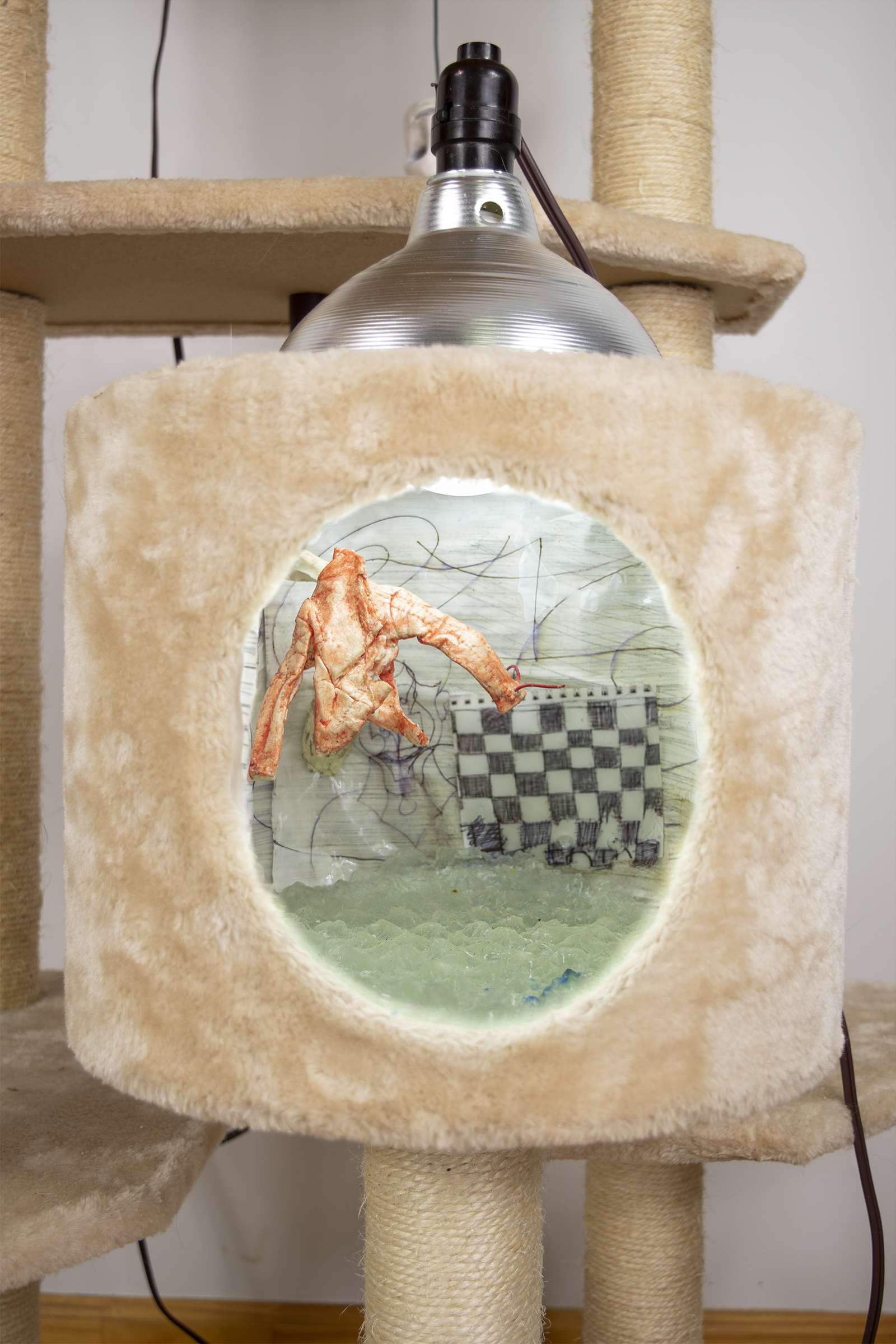 Art by Amy Stober for Toxoplasma Grannii Maybe at Catbox Contemporary curated by Christina Giggliotti