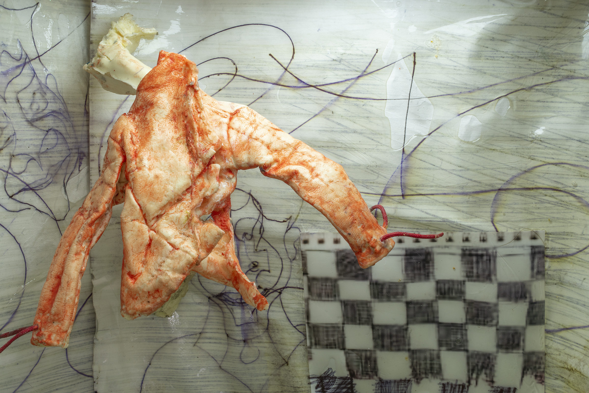 Artwork by Amy Stober for Toxoplasma Grannii Maybe at Catbox Contemporary curated by Christina Giggliotti