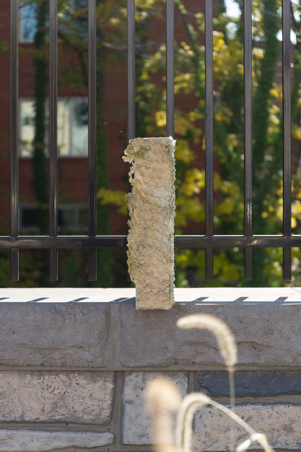 Artwork by Amy Stober for Sinkhole Projects curated by Joe Speier
